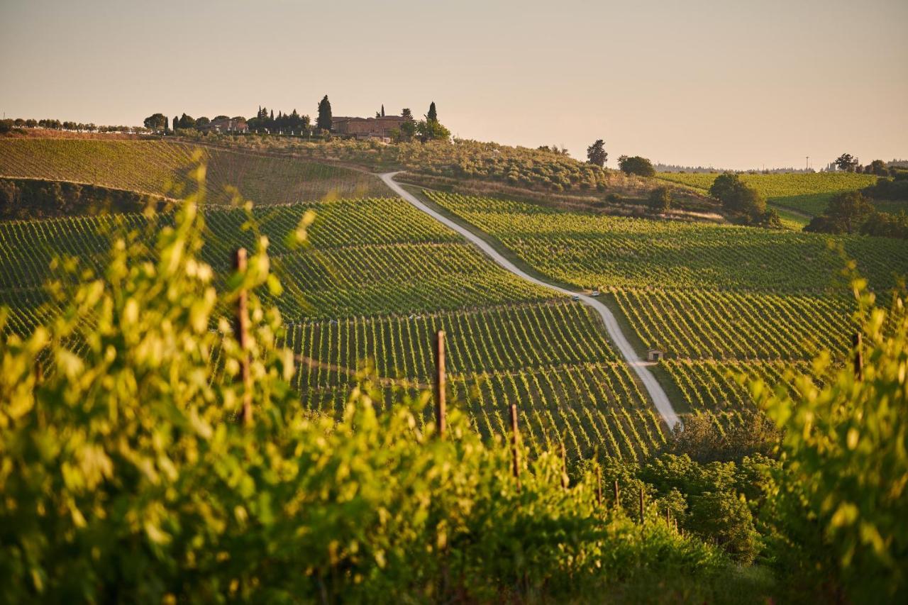 Chimera Tuscany Resort Arezzo Eksteriør bilde