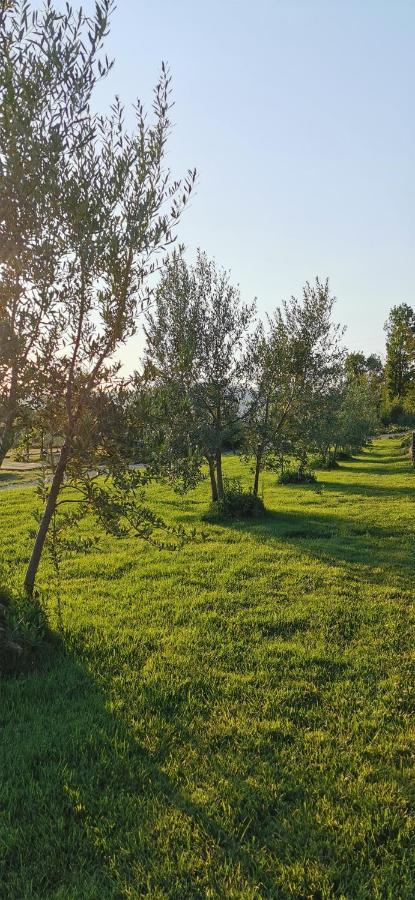 Chimera Tuscany Resort Arezzo Eksteriør bilde